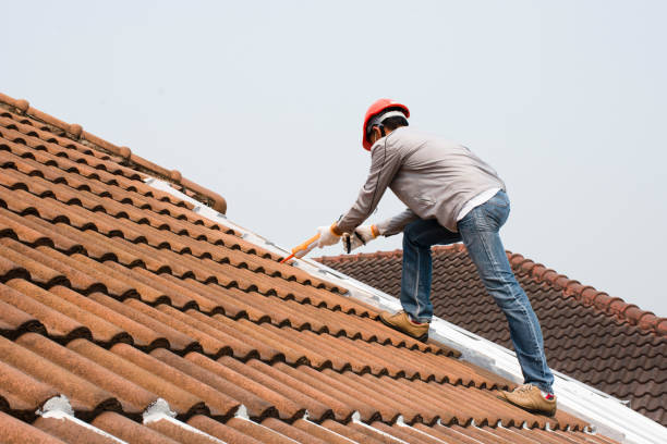 Best Metal Roofing Installation  in Terville, WA
